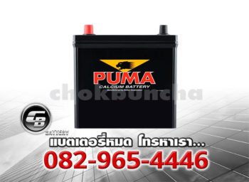 ราคาแบตเตอรี่รถยนต์ PUMA 46B19L SMF Front