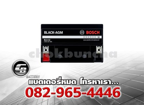 Bosch Battery AUX Auxiliary AGM Top