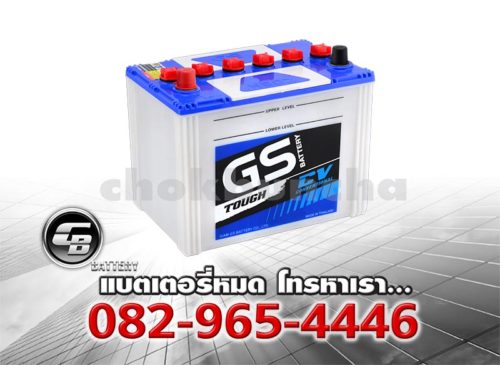 GS Battery N50Z Per