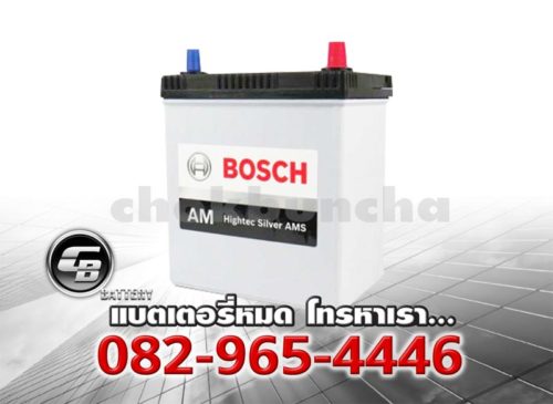 Bosch Battery AM 55B19L Hightec Silver AMS BV