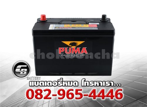 Puma Battery 130D31L (PB210L) Bv