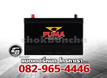 Puma Battery 130D31L (PB210L) Front