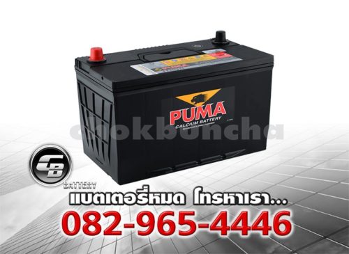 Puma Battery 130D31L (PB210L) Per