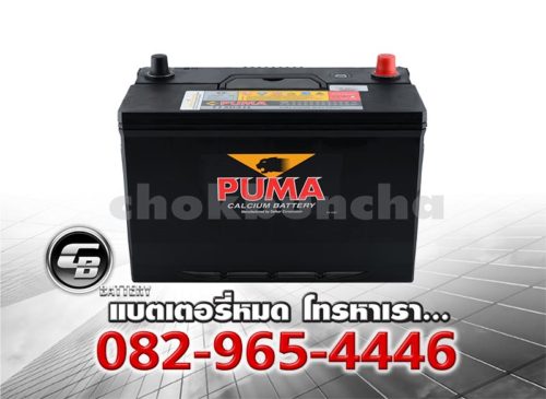 Puma Battery 130D31R (PB210R) Bv