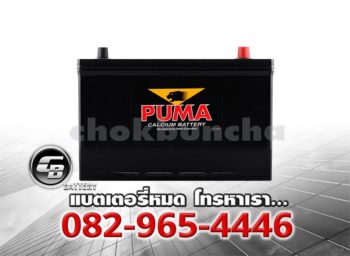 Puma Battery 130D31R (PB210R) Front