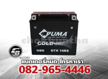 Puma Battery Auxiliary GTX14BS Front