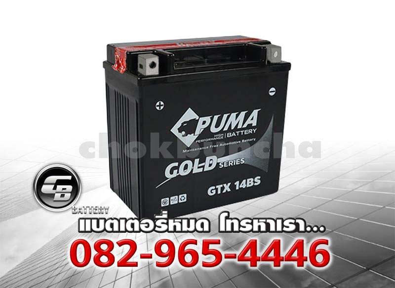 Puma Battery Auxiliary GTX14BS Per Puma Battery Auxiliary GTX14BS Per