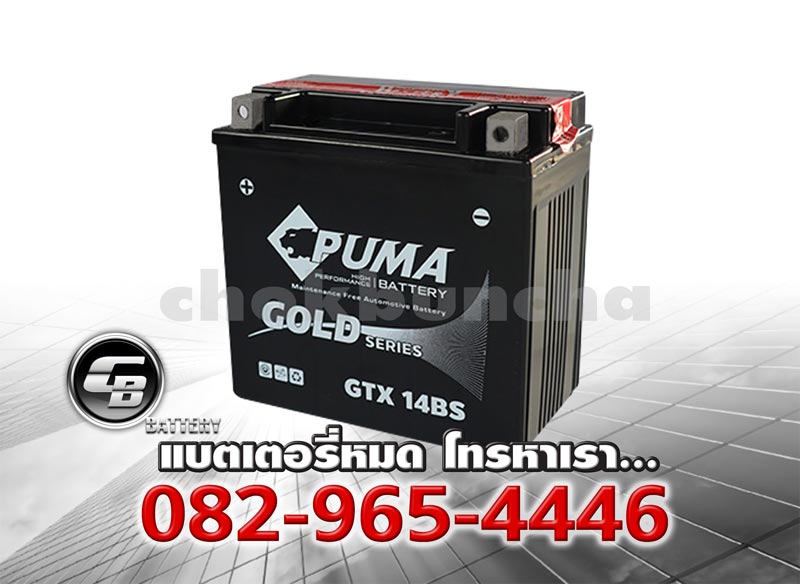 Puma Battery Auxiliary GTX14BS Top Puma Battery Auxiliary GTX14BS Top