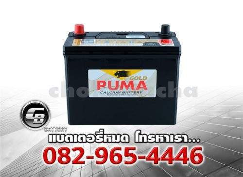 Puma Battery 55B24L SMF Bv