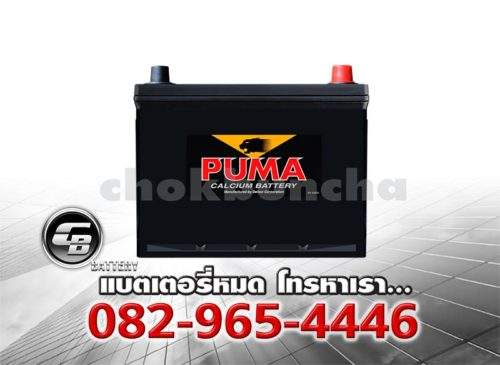 Puma Battery 55D23R SMF Front