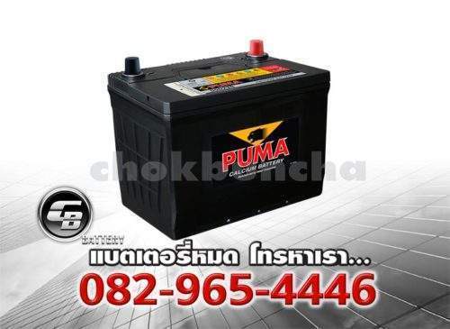 Puma Battery 55D23R SMF Per