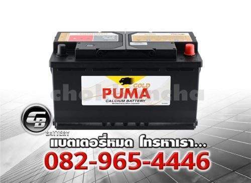 Puma Battery DIN100 60038 SMF Bv