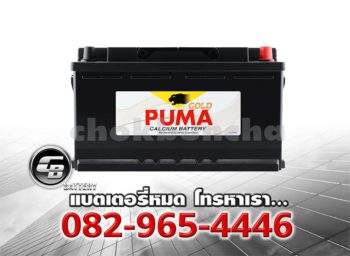 Puma Battery DIN100 60038 SMF Front