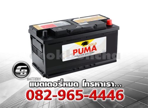 Puma Battery DIN100 60038 SMF Per