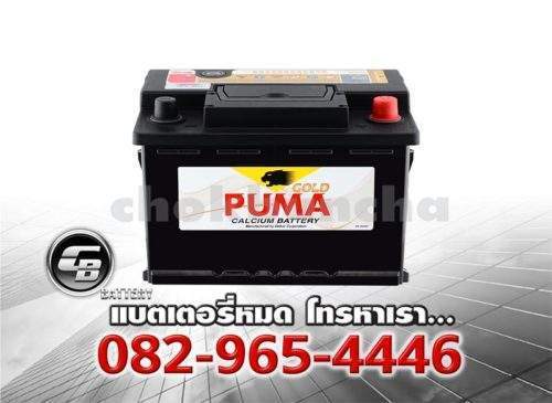 Puma Battery DIN62 56219 SMF Bv