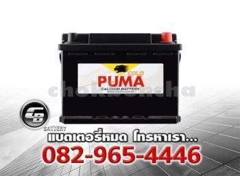 Puma Battery DIN62 56219 SMF Front